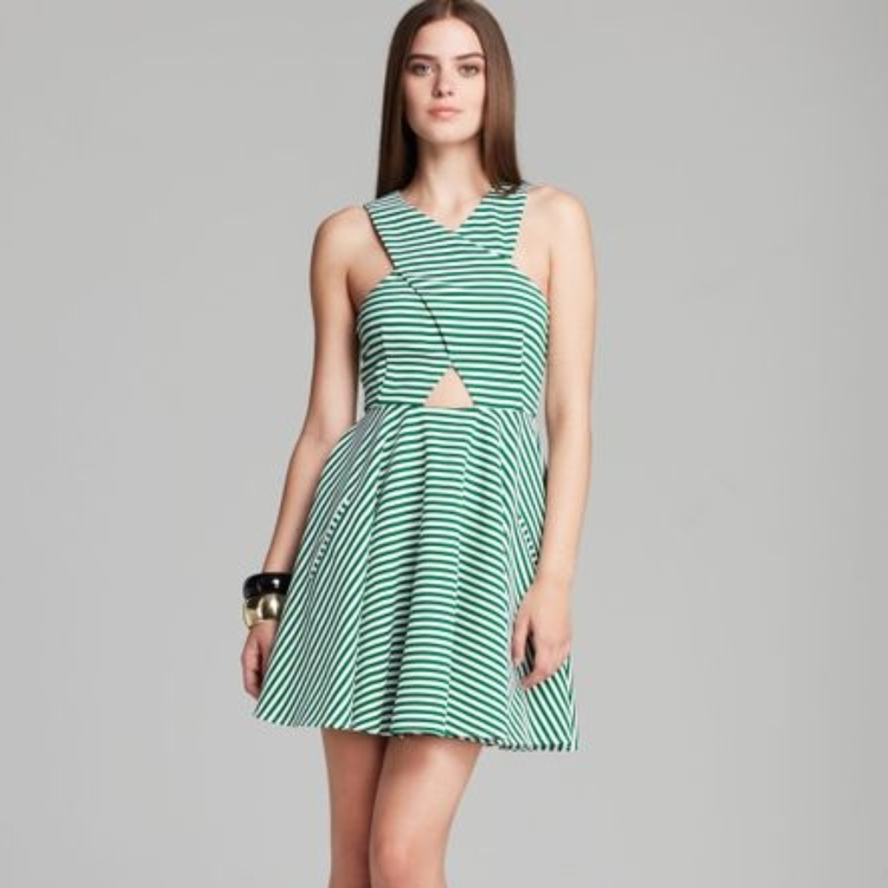 Torn by Ronny Kobo Vered Dress with Thin Stripes